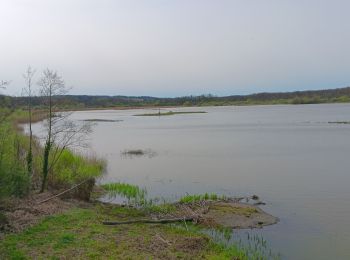 Randonnée Marche Chimay - tour du lac de virelle - Photo