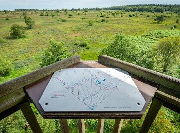 Randonnée Marche Spa - SPA 17 - La Fagne de Malchamps par la Vecquée 🟦 - Photo