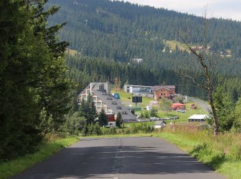 Tour Zu Fuß Böhmisch Wiesenthal - Lehrpfad Loučná pod Klínovcem - Photo