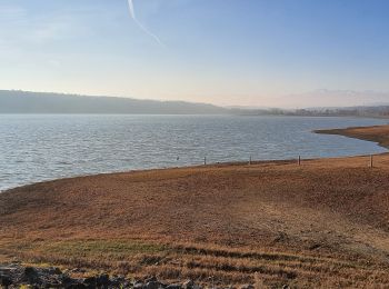 Excursión Senderismo Puydarrieux - Lac de Puydarrieux - Castelnau Magnoac-65 le 15/01/225 - Photo