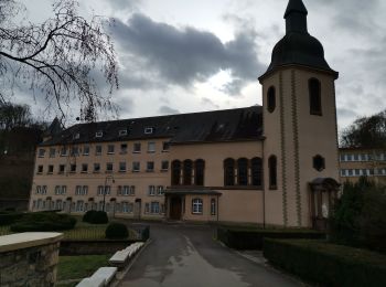 Tocht Stappen Aarlen - CLAIREFONTAINE ... la vallée de l'Eisch. - Photo