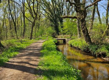 Trail Walking Zonhoven - 2025-03-17_18h13m50_les-1001-tangs - Photo
