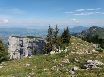 Tour Wandern Glières-Val-de-Borne - BARGY: CENISE - ROCHERS DE LESCHAUX - SOLAISON - COL DE CENISE - Photo