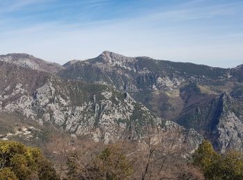 Randonnée Marche Peille - pointe siricocca mont ours par pic de garuche  - Photo