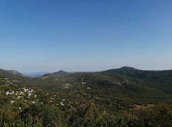 Excursión Senderismo Montpeyroux - Mont St Baudile  - Photo