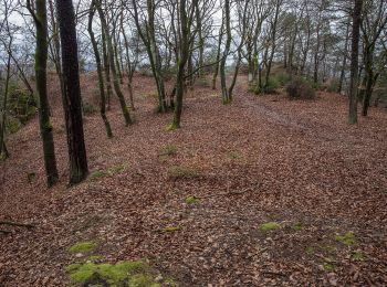 Tocht Te voet Neukirchen bei Sulzbach-Rosenberg - Rundwanderweg No.2 Neukirchen - Photo