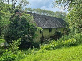 Tour Wandern Osly-Courtil - la balade de Saint Médard - Photo