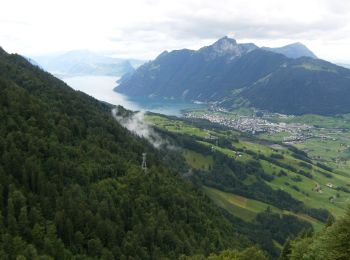 Tocht Te voet Morschach - Stoos - Fronalpstock - Photo