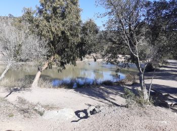 Tour Mountainbike Fréjus - 53 km Esterel - Photo