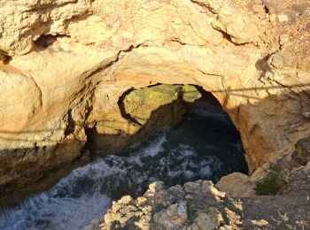 Percorso Marcia Lagoa e Carvoeiro - Praia de Marinha  - Photo