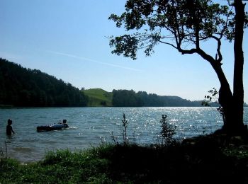 Excursión A pie Stańczyki - Wokół jarów Błędzianki - Photo