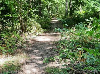 Tour Wandern Fumay - Fumay ardoises et légendes - Photo