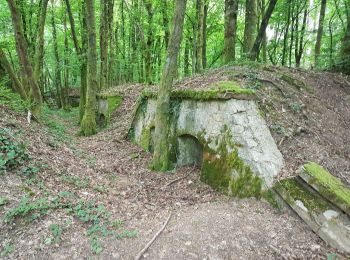 Trail Walking Châlonvillars - Chalonvillars - fort du Salbert  - Photo