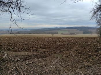 Randonnée Marche Mulhouse - Waldeck - Photo