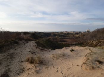 Trail Walking De Panne - Balade Westhoek avec Lila - Photo