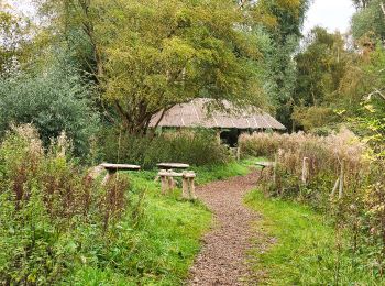 Tocht Te voet East Northamptonshire - Lakes and Meadows Trail - Photo