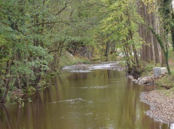 Tour Wandern Limburg - 20221107 - Goé 6.6 Km - Photo