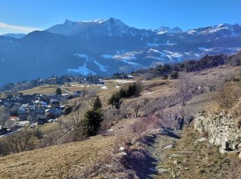 Tour Schneeschuhwandern Châtillon - de Promiod jusqu'à l'arête du Mont Zerbion - Photo