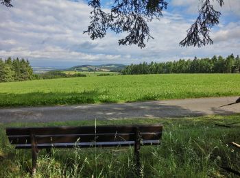 Tour Zu Fuß Goldkronach - Goldkronach Rundwanderweg Nr. 1 - Photo