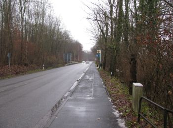 Randonnée A pied Inconnu - Kassel-Brasselsberg, Rundweg 2 - Photo