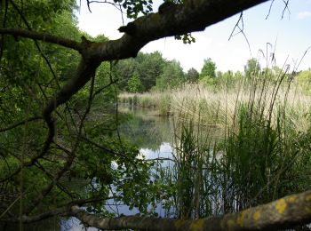 Tocht Te voet Heßdorf - Erlangen 7 grün - Photo