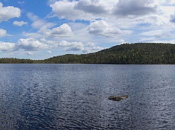 Trail On foot  - Guldbäcksleden - Photo