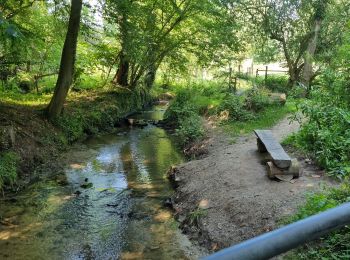 Tocht Mountainbike Eigenbrakel - 👍VTT au départ de Braine-L'Alleud - Photo