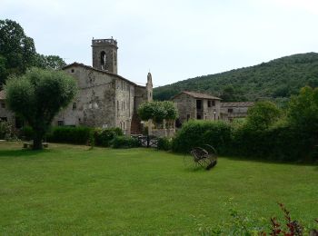 Excursión A pie Sant Ferriol - El Santuari del Collell: Presó de Guerra - Photo