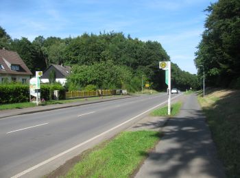 Tocht Te voet Bad Arolsen - Bad Arolsen Wanderweg A4 - Photo