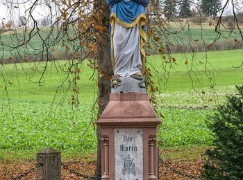 Randonnée A pied Paderborn - Haxtergrund Rundweg Rot - Photo