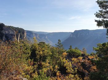 Excursión Senderismo Saint-Pierre-des-Tripiers - Boucle Cassagnes - Gorges Jonte - Photo