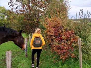 Excursión Senderismo Beyne-Heusay - Balade des écureuils - Photo