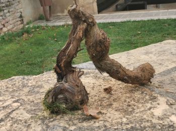 Percorso Marcia Givry - givry. cellier aux moines  - Photo