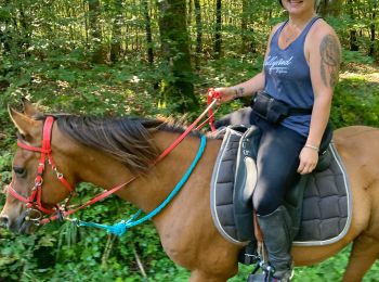 Trail Horseback riding Domèvre-sur-Vezouze - Equiplaine 21 septembre 24 cavaliers  - Photo