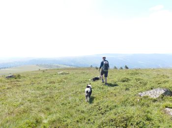 Excursión Senderismo Valcivières - MONTHIALIER COL DU CHANCER - Photo