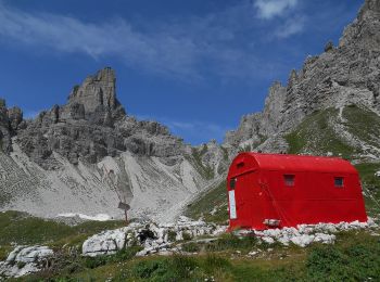 Trail On foot Forni di Sopra - IT-342 - Photo