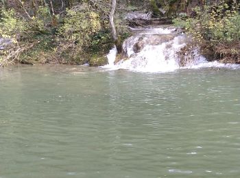 Tour Wandern Matafelon-Granges - Charmines - Au fil de l'Oignin - Photo