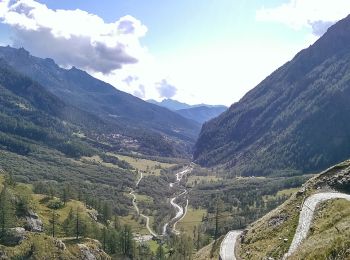 Percorso A piedi Trasquera - F97 dal bivio F10 1615 m al p.so delle possette 2179 - Photo