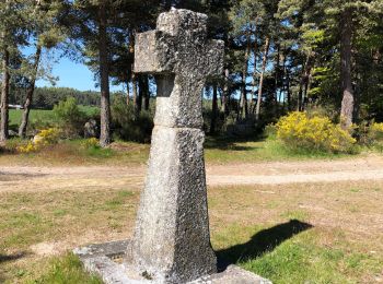 Tour Wandern Peyre en Aubrac - Aumont à Finieyrols - Photo