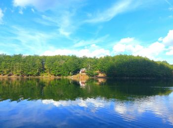 Tour Zu Fuß Abetone Cutigliano - (SI L15) Abetone (Boscolungo) - Lago Santo Modenese - Photo