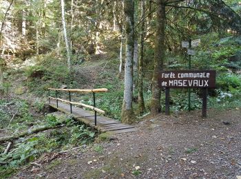 Tocht Stappen Masevaux-Niederbruck - Masevaux - Rossberg par le belvédère du Fuchsfelsen - Photo