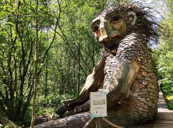 Percorso Marcia Boom - Les sept trolls et la forêt magique  - Photo