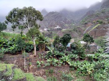 Tour Wandern  - Caibros - Lagoa - Photo