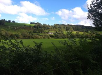 Tour Zu Fuß  - Ty'n y Coed Uchaf and Cwm Eidda walk - Photo