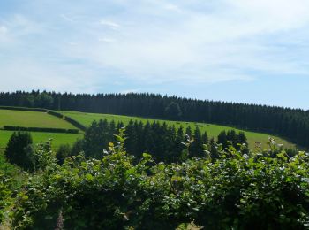 Tour Zu Fuß Büllingen - GrWandArd6: Rocherath:het hoogste dorp van Belgie (PVDB) - Photo