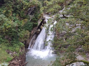 Percorso Sentiero Gemeinde Kirchberg in Tirol - Aschau - Photo