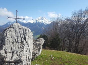 Tour Wandern Le Châtelard - Croix du Plane - Photo