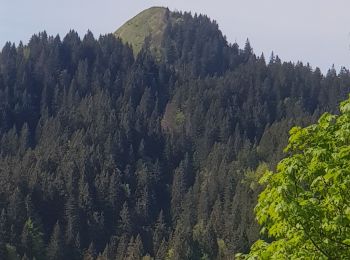 Tour Wandern La Pesse - 13 ème étape de la grande traversée du Jura  - Photo