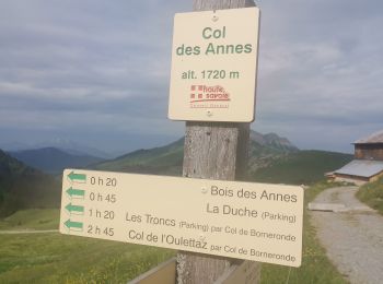 Randonnée Marche Le Grand-Bornand - Le Grand-Bornand ... le Tour du Bois de la Duche. - Photo