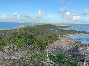 Randonnée Trail Saint-François - Anse la gourde  - Photo